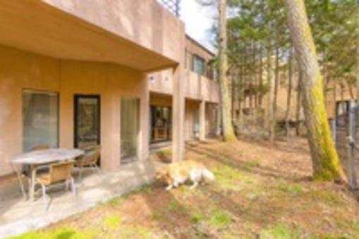 プライベートドッグラン付わんヴィレッジ